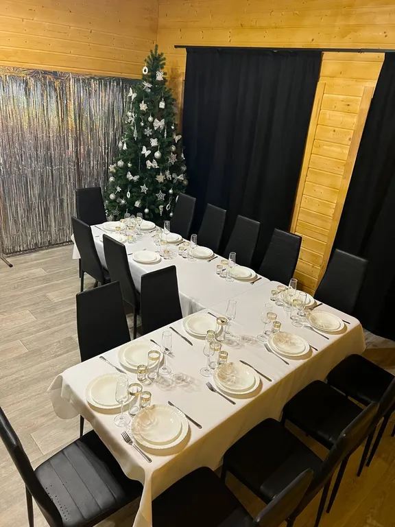 Дом с баней на дровах, банным чаном и большой гостиной