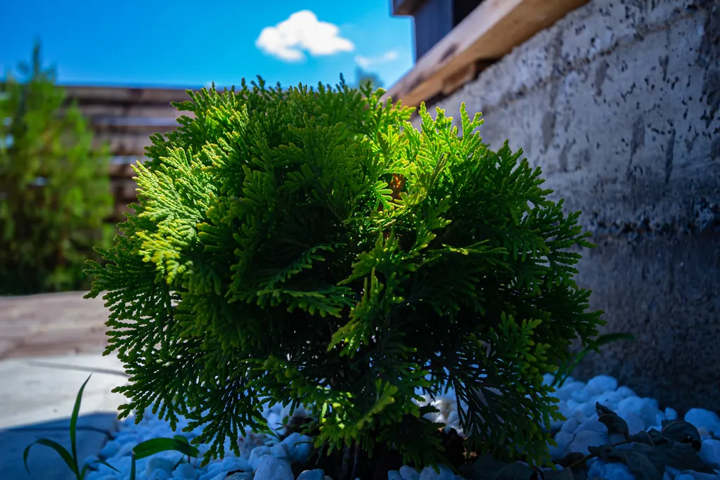 Уютное гостевое шале Shale de Family на берегу озера