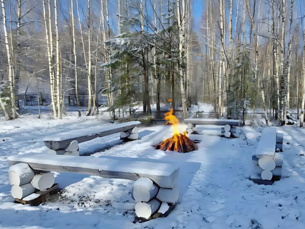 Заповедное место с видом на лес в 100 метрах от яхт-клуба и берега Волги