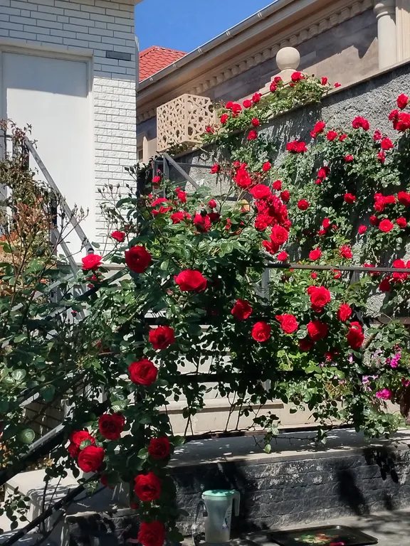 Дом на расстоянии от пляжа 200 метров