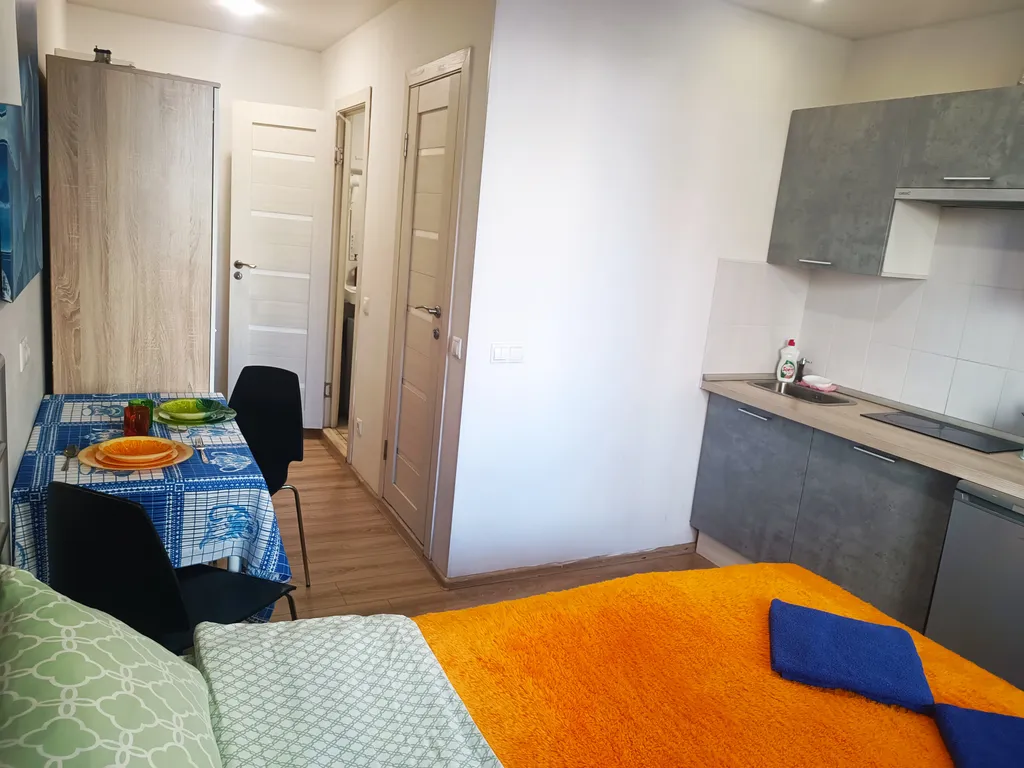 Трёхместная студия у Крокус Экспо и станции метро МЦД-D2 Пенягино