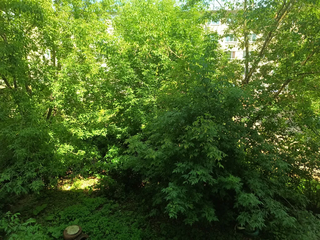 Уютная студия.