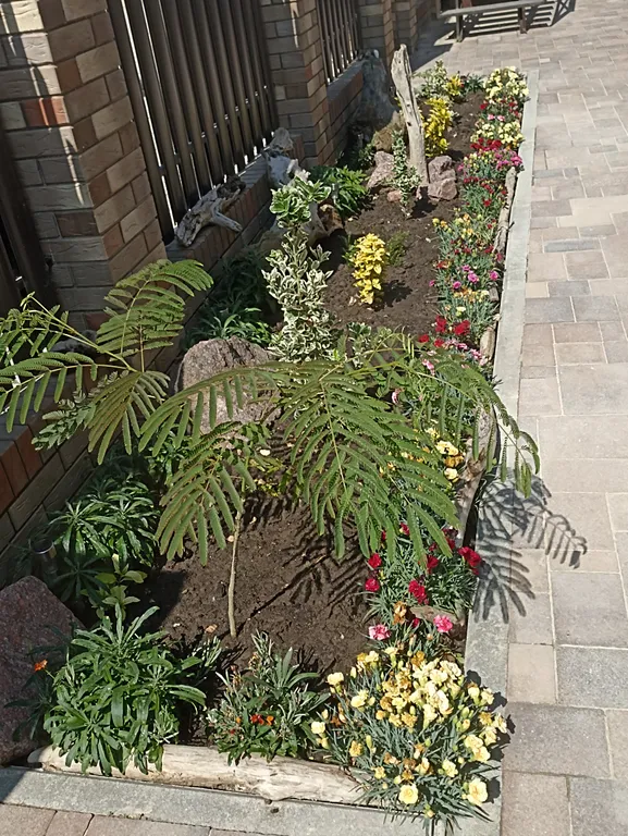 3-местный комфортный номер