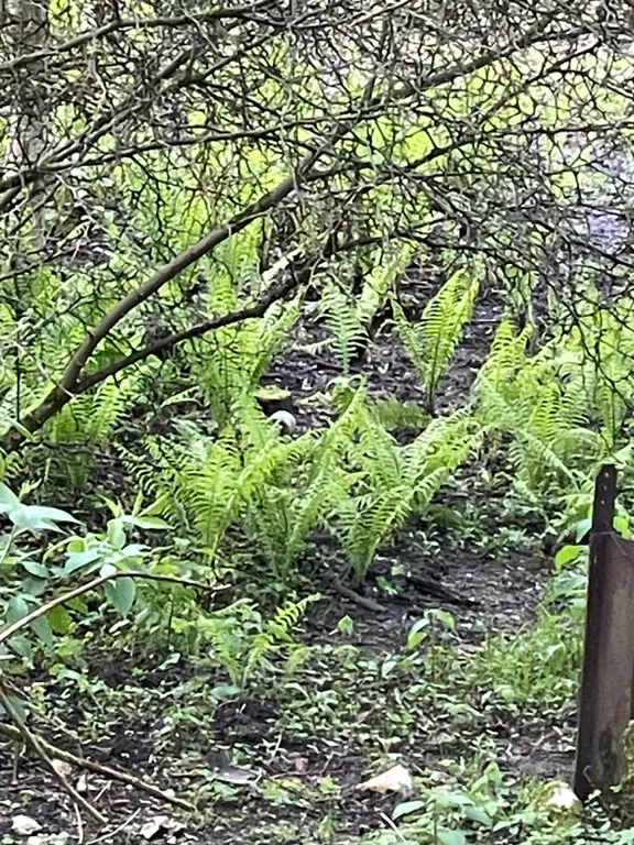 Дом среди гор