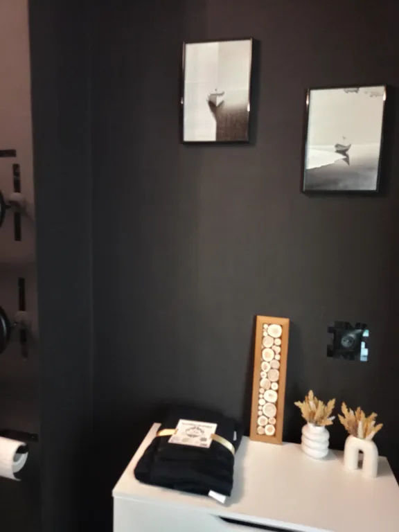 Квартира студия Black&White