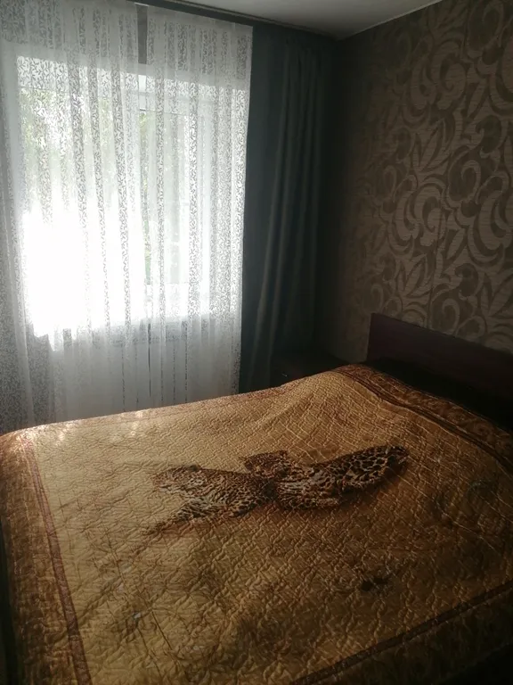 Уютная квартира в центре города с видом на парк