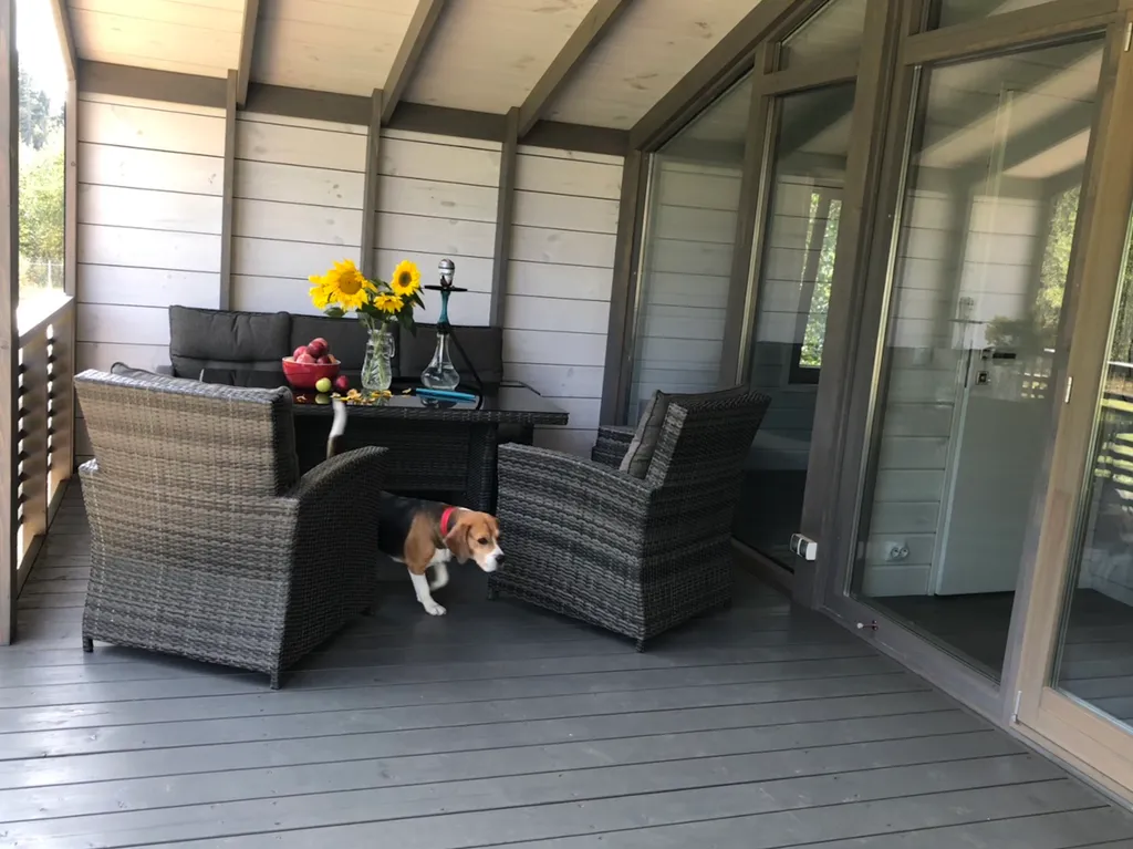 Дом носорога с камином