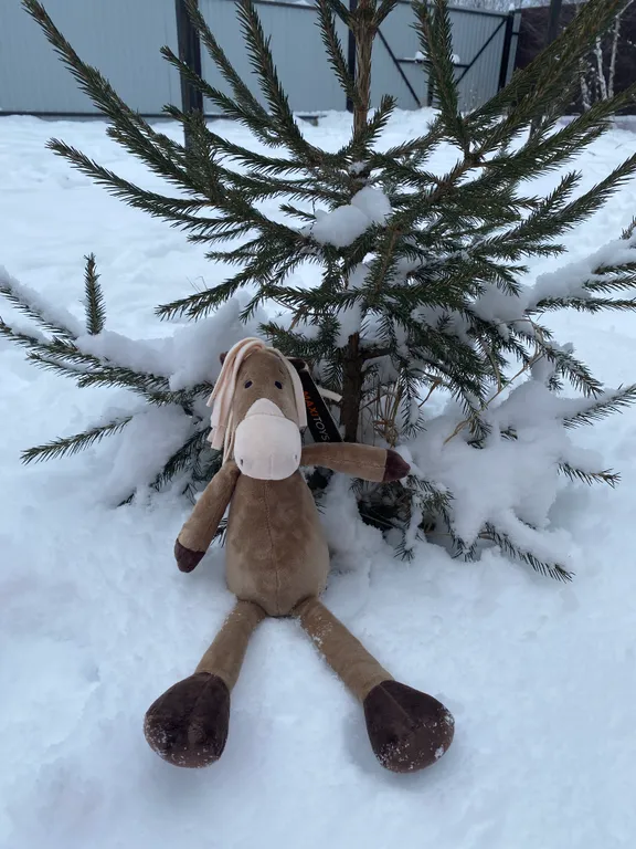 Квартира Лошадка Кира ждёт гостей в свою уютную квартиру — аренда посуточно в Белорецк