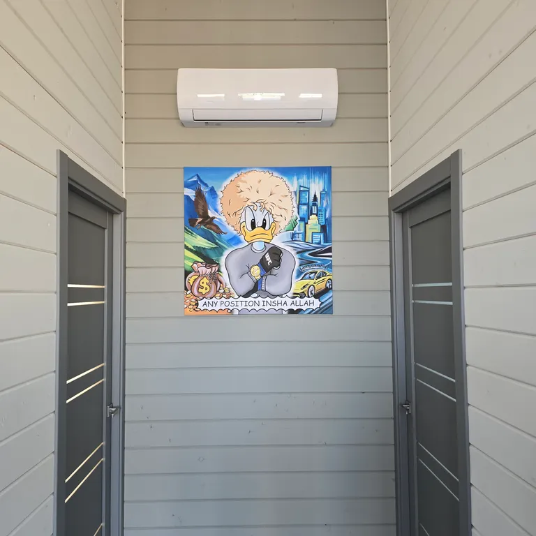 Дом коттедж в городе (в черте)