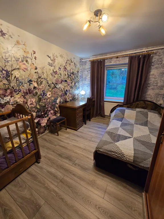 Уютный дом в центре Пушкинских Гор