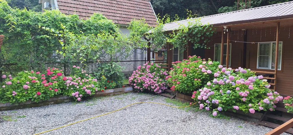 Коттедж Коттедж Quest hause Ahan — Гагра