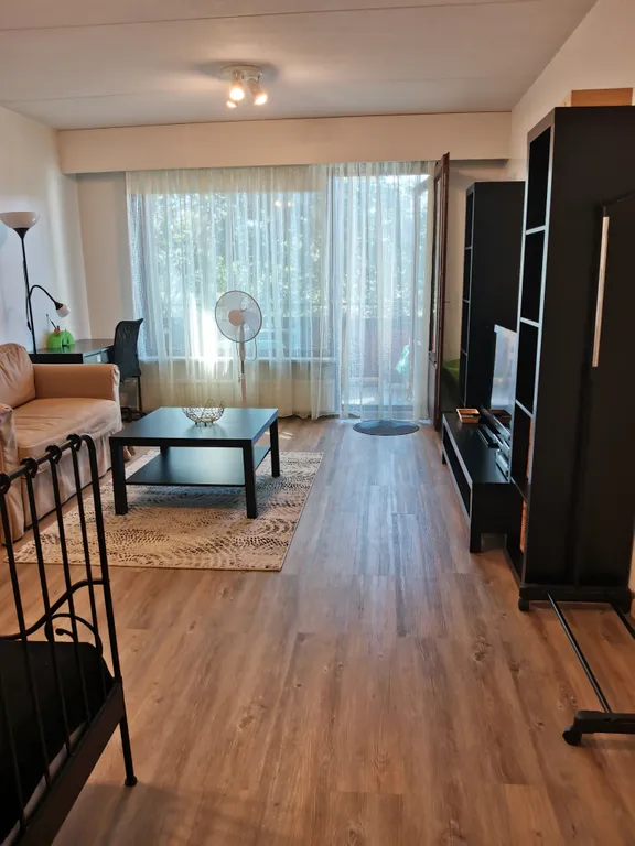 Scandinavian City Apartment