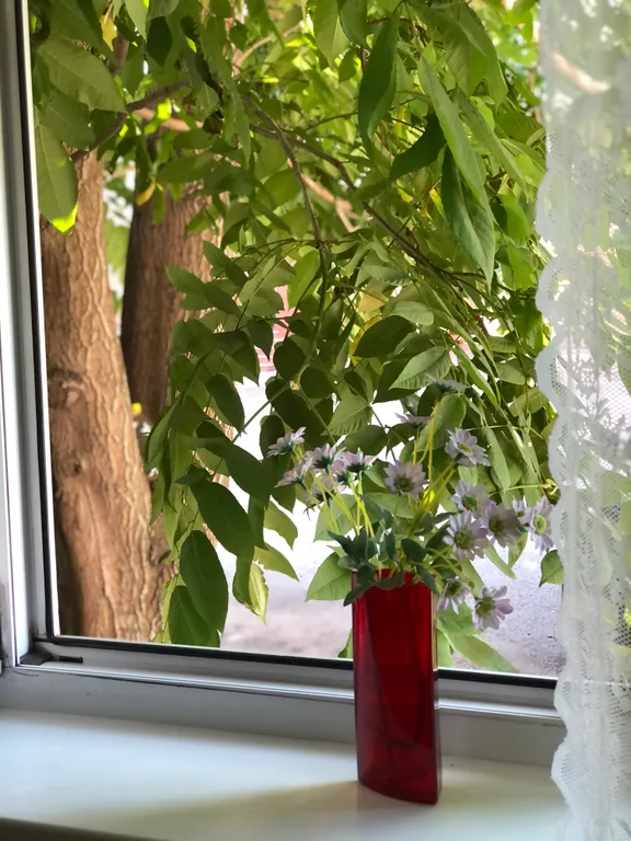 Просторная квартира для путешествия семьей на Алтай в центре города