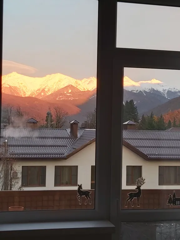 Студия с видом на Горы в центре