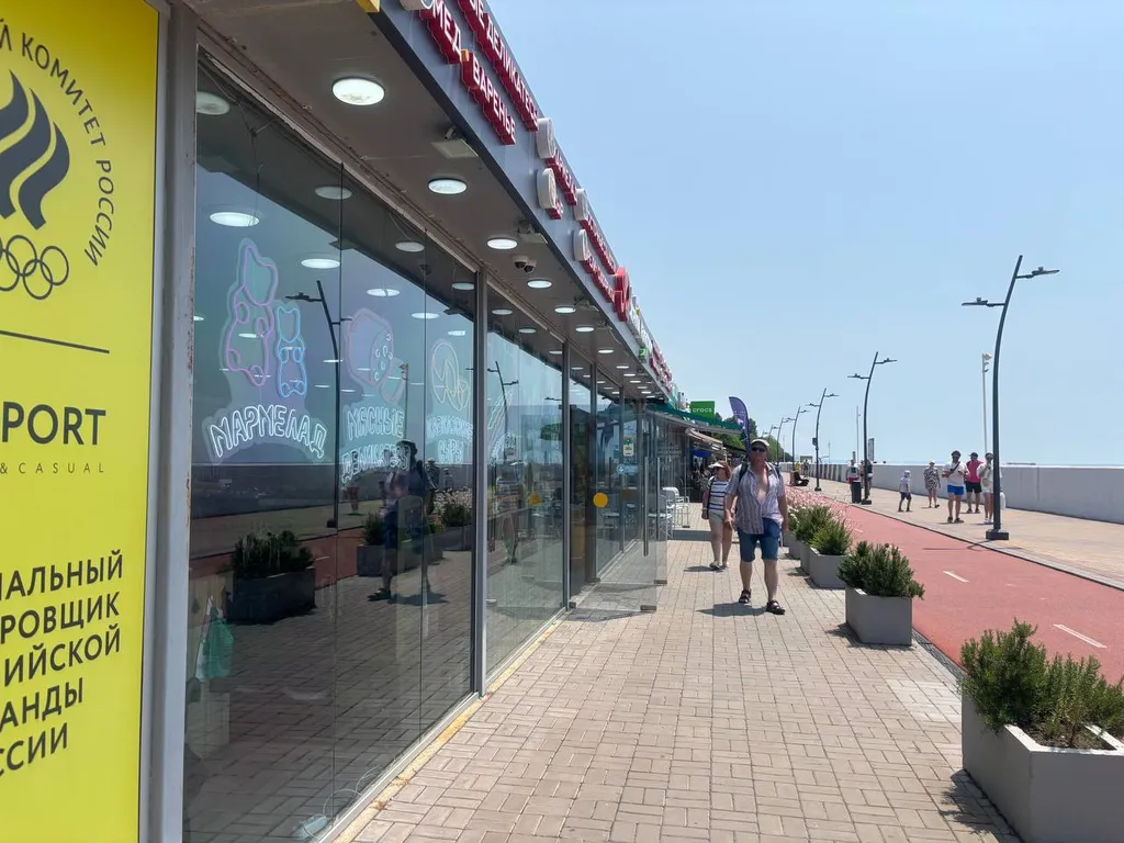 Квартира Апартаменты в Сочи, море 100 метров,аэропорт — 15 минут, горы -30. — Сириус