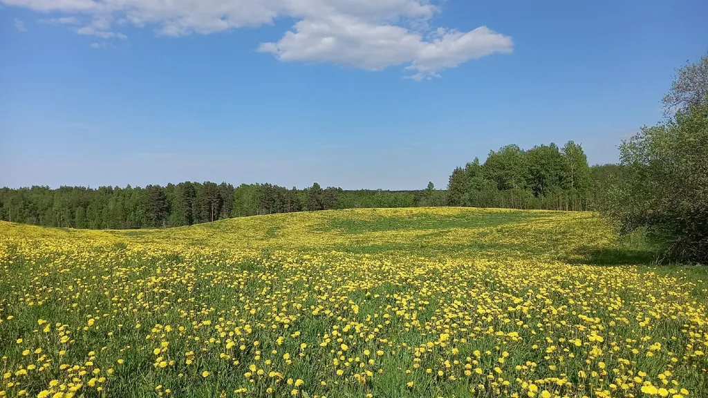 Коттедж Дом в скандинавском стиле — Приладожское