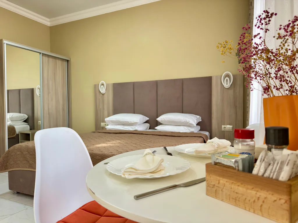 Стандарт студия с видом на горы