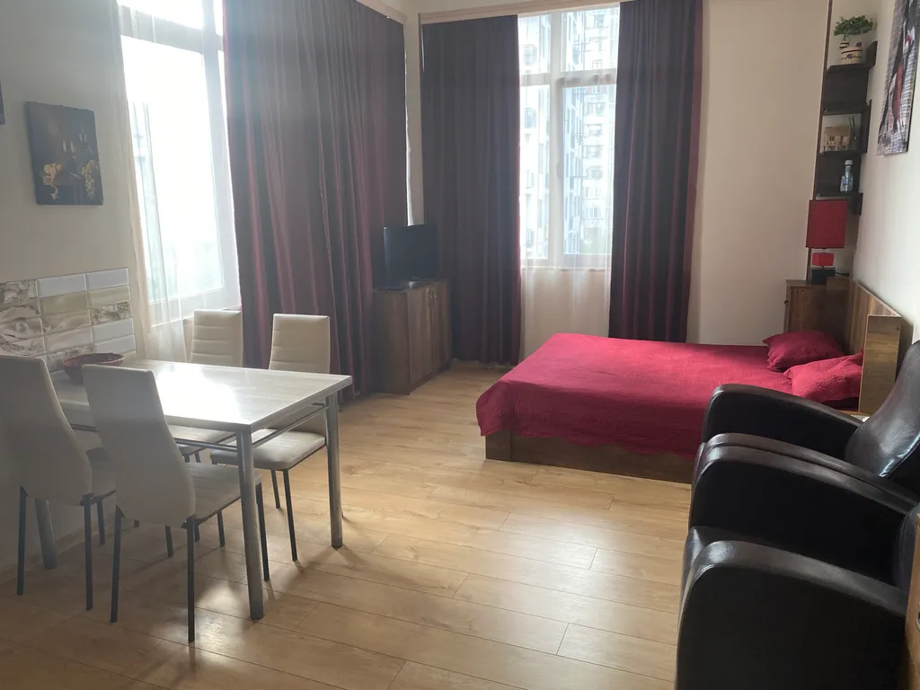 Уютная однокомнатная квартира для двоих, с хорошим видом