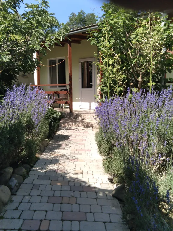 Комната стандарт на 2-4 человека