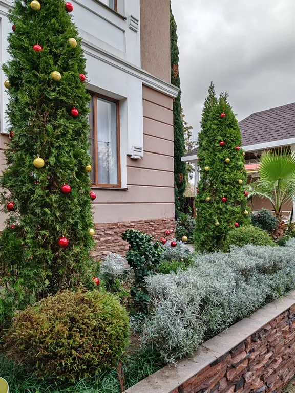 2х комнатные апартаменты в Сочи! Дом в Дагомысе!