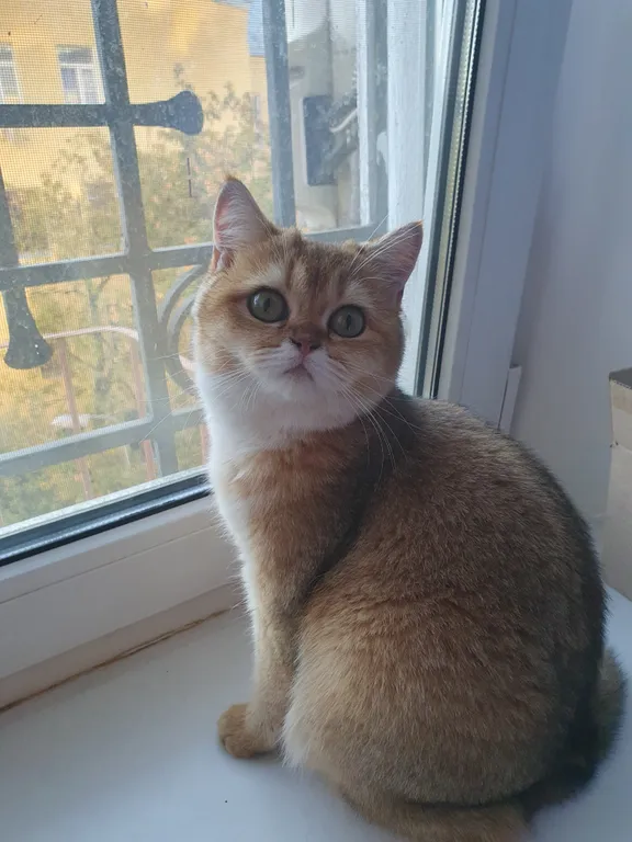 Большая уютная комната на Таганке рядом с монастырём Матроны Московско