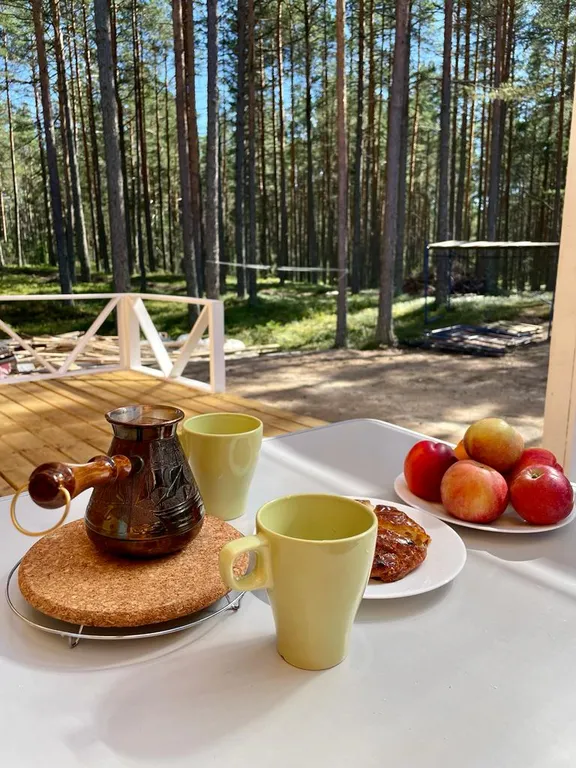 Гостевой дом в сосновом бору на Ладоге