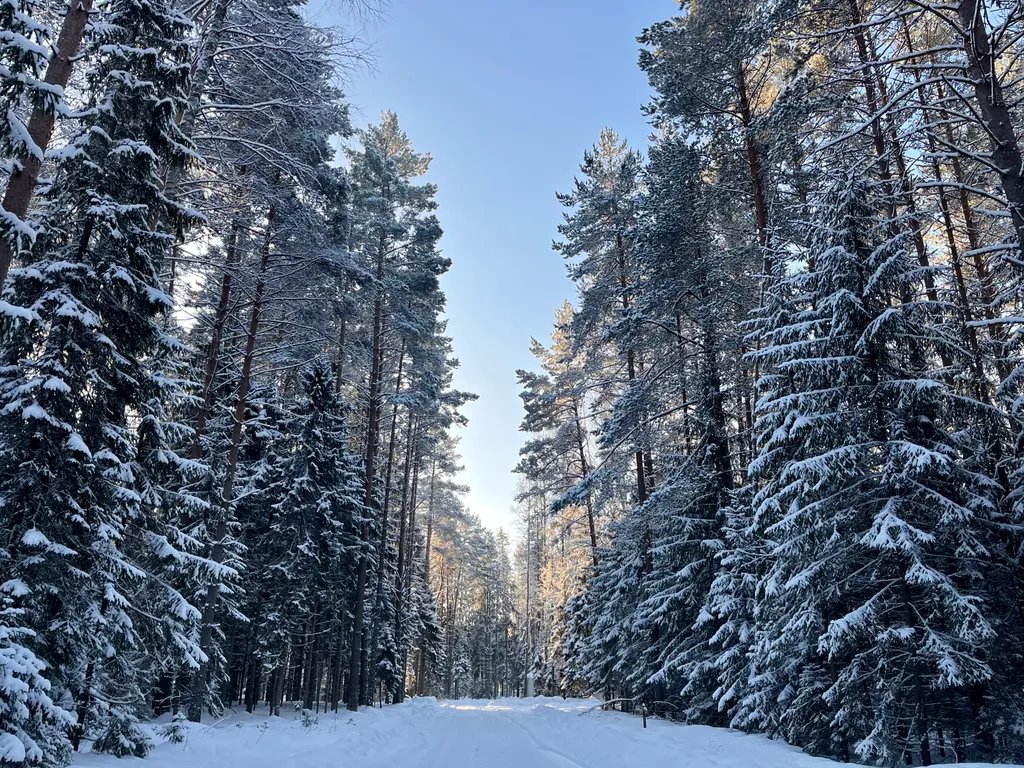 Коттедж Коттедж Гармония леса на берегу озера Волго на Селигере — Турбаза Чайка