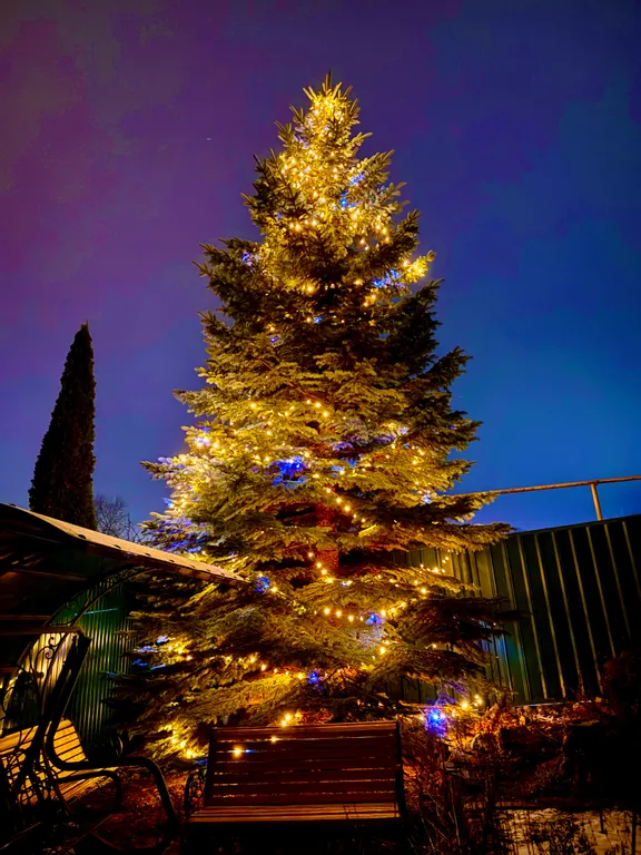 Дом с Баней на дровах и Банным Чаном в прекрасном месте