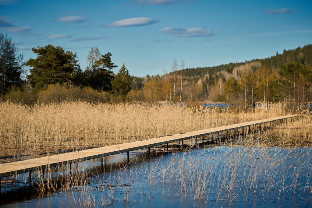 Коттедж 1-комнатный Дом — Кирконкюля
