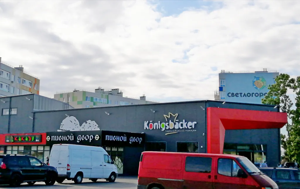 Квартира Уютная квартира — Светлогорск