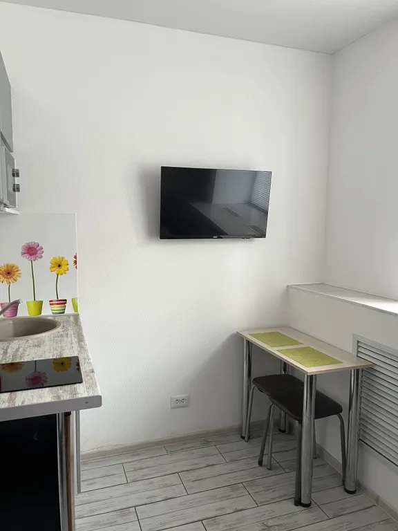 Студия рядом с Краевой больницей на Ляпидевского