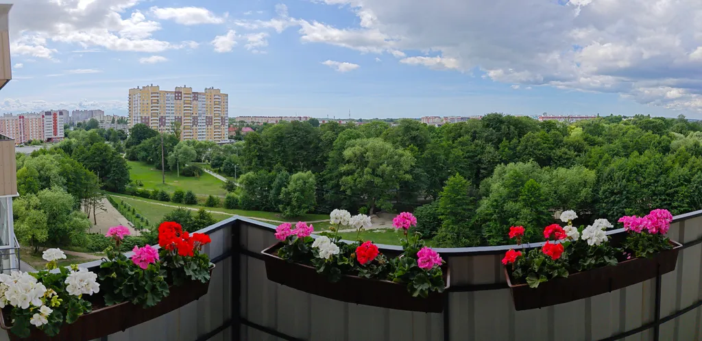 Квартира Уютная квартира на Летнем озере — Калининград