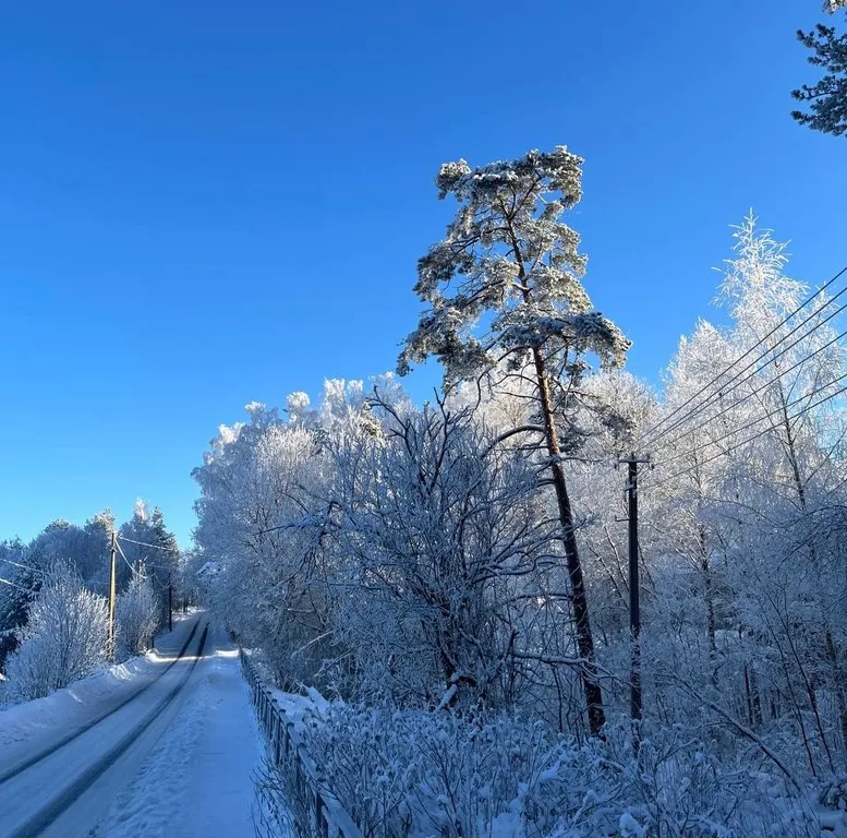 Коттедж Уютный домик на берегу озера 50 м² — Санкт-Петербург