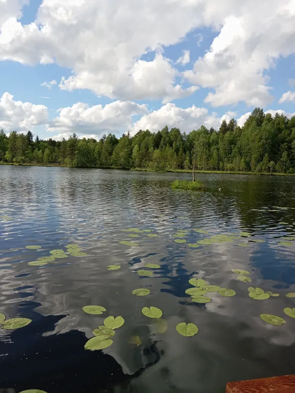 Деревянный дом, на берегу меличуярви, на краю леса в карельском селе