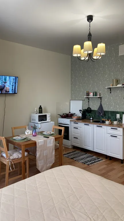 Уютная студия в Петергофе, рядом с вокзалом