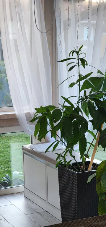 Коттедж Гостевой дом Уютная Орхидея — Первомайское