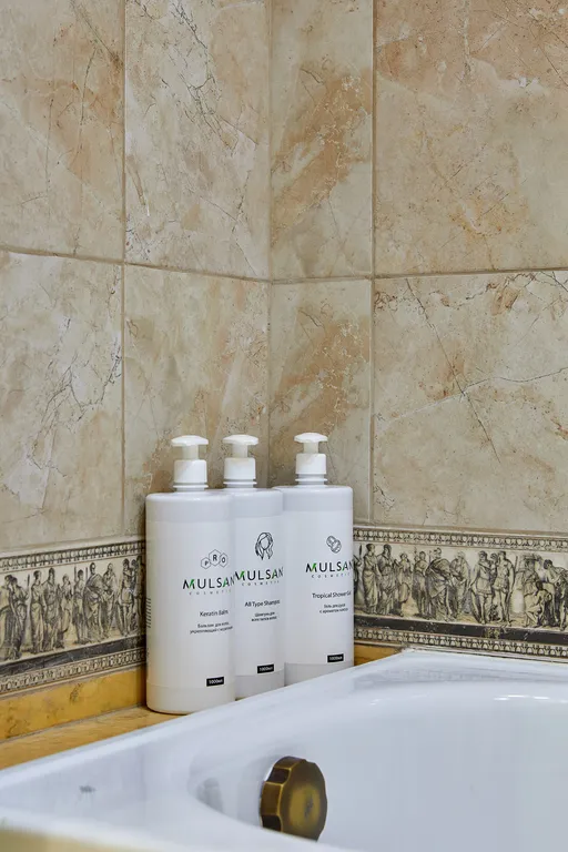 Апартамент в центре Классик