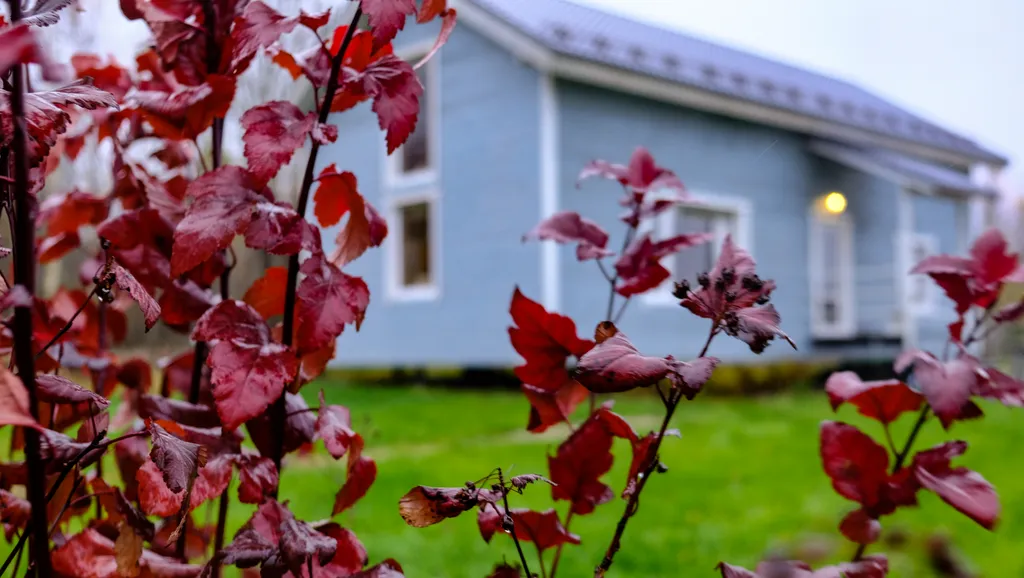 Уютный дом на берегу реки у водопада