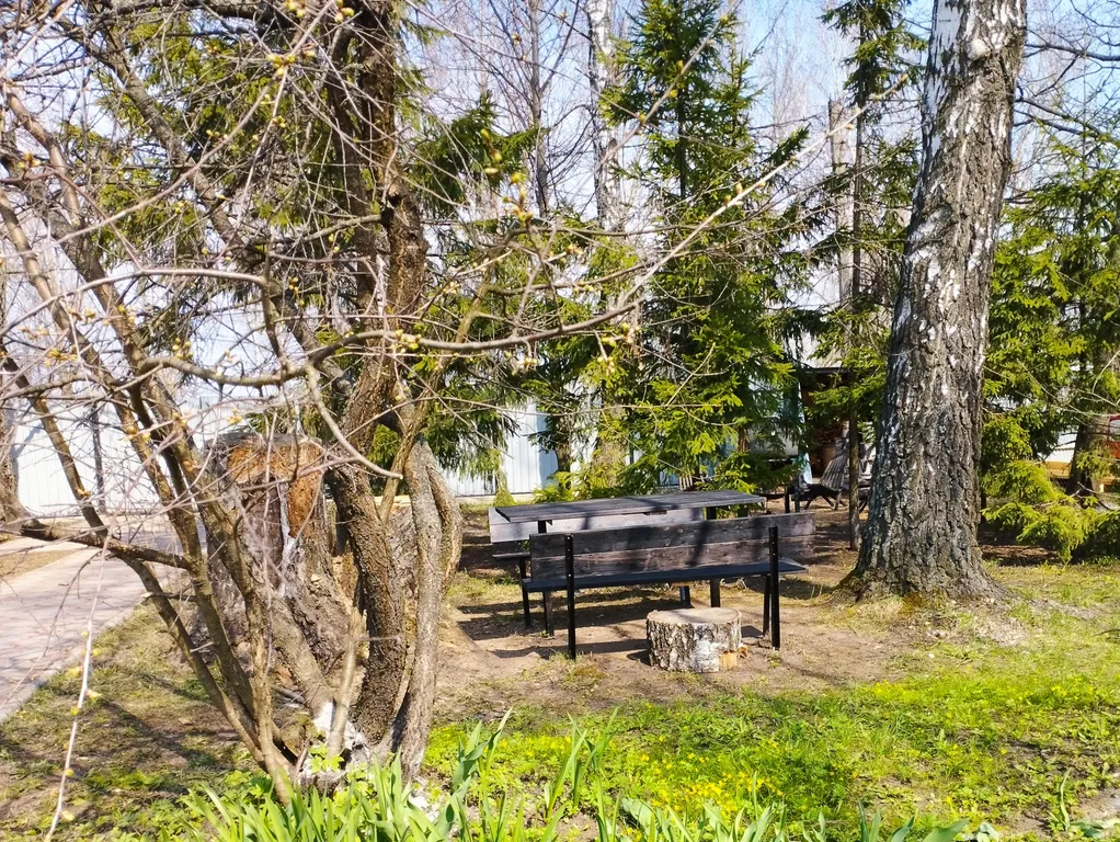 Дом для отдыха среди лесов и озер