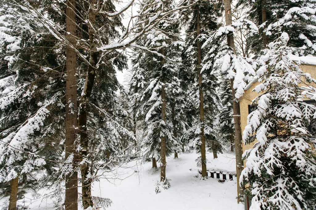 5-комнатный Дом