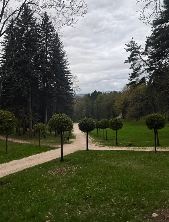 Прекрасная квартира в самом центре г. Кисловодск