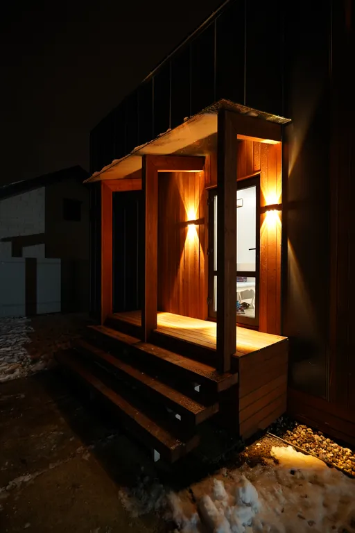 Современный дом у леса