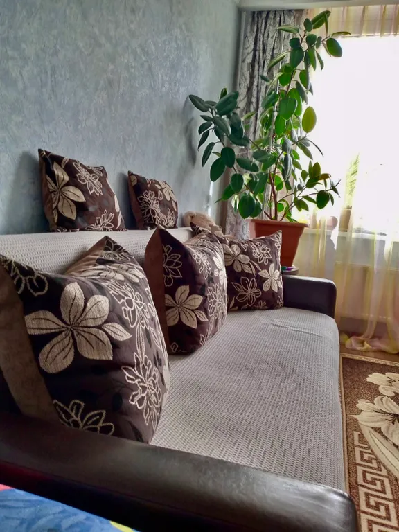 Квартира Апартаменты с видом на озеро — Светлогорск