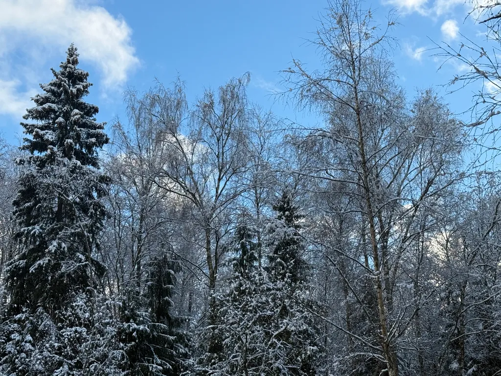 Дом для семейного отпуска