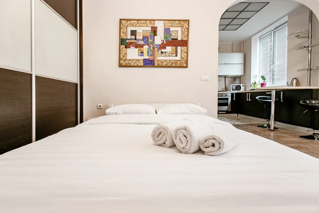 Квартира студия в шаговой доступности метро Фрунзенская