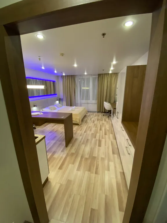 Квартира-студия PlaumHotel