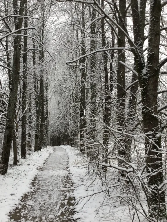 Коттедж Гостевой дом на Истринском водохранилище — Лопотово
