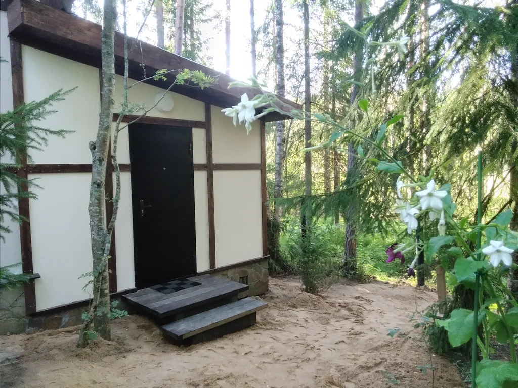 Уютный флигель у озера Большое Борково