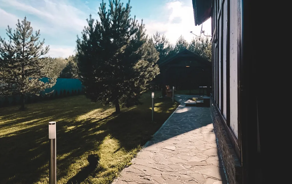 Дом в окружении соснового леса