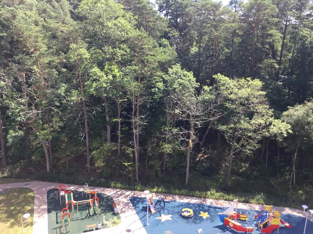 Квартира Уютная квартира у озера Тихое — Светлогорск